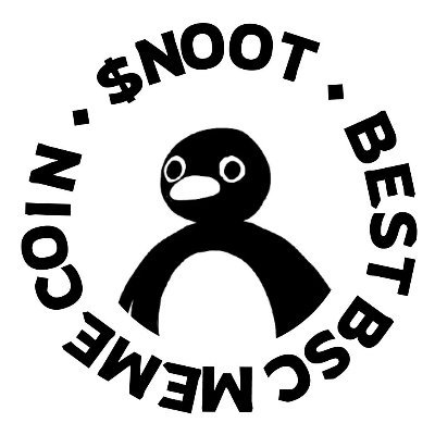 NOOT